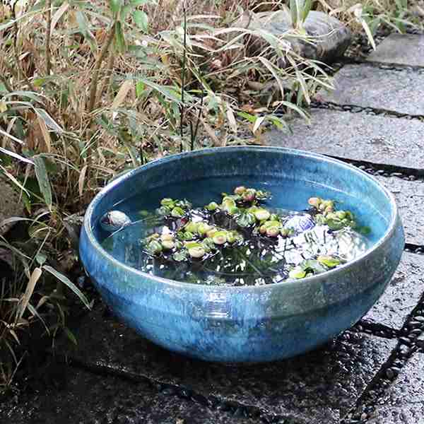 織部 鉢 水鉢 メダカ 金魚 睡蓮鉢 陶器 - 通販 - gofukuyasan.com