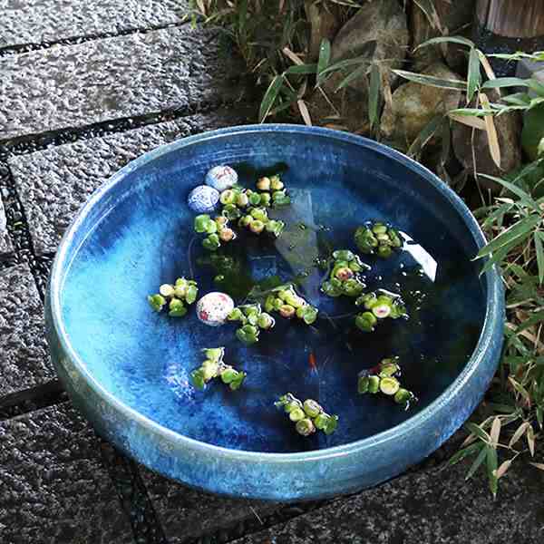 睡蓮鉢 金魚鉢 メダカ鉢 特大《No.16》金魚鉢 - 陶芸