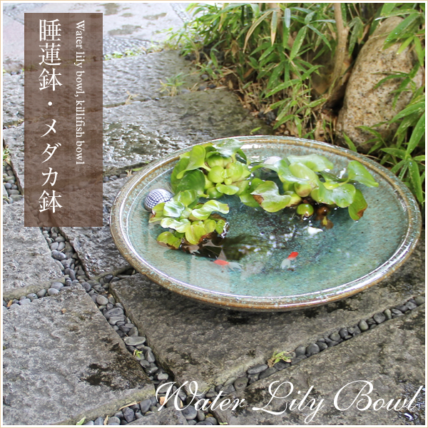 陶器 18号緑古信楽浅型水鉢 メダカ鉢、金魚鉢にも最適 睡蓮鉢 スイレン鉢 ハス鉢 はす鉢信楽焼 おしゃれ 和風【手作り】の通販は 27,300円