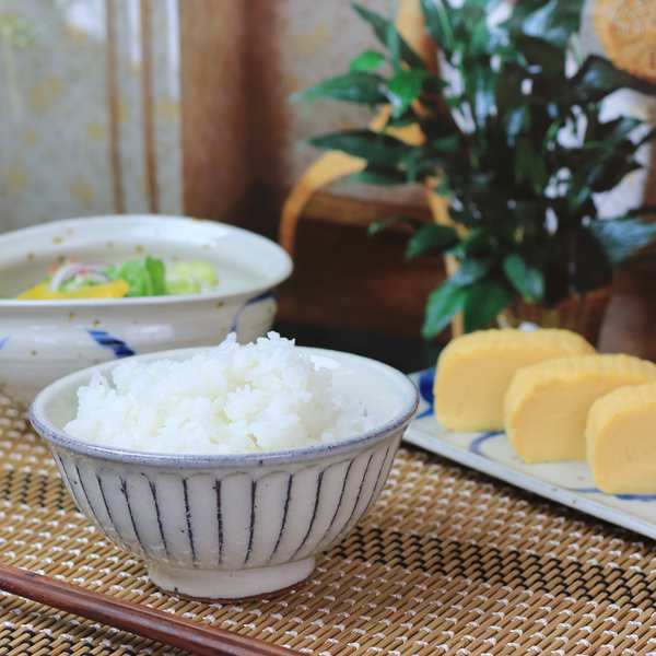 飯碗 おしゃれ 茶碗 ご飯茶碗 器 うつわ 飯茶碗 茶漬け碗 和食器