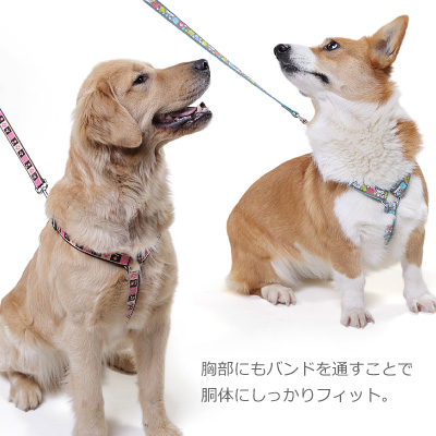 犬 ハーネス ラロック フォーディh型ハーネス Ssサイズ 超小型犬用胴輪 メール便のみ送料無料 の通販はau Pay マーケット ラロックショップ