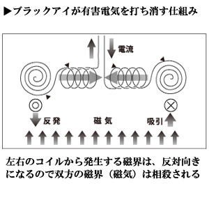 【ブラックアイ　100個入】丸山式コイル　ブラックアイ　100個入　生体電流整流　　遠赤外線　　マイナスイオン