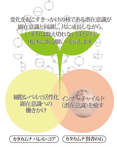 ユニカ カタカムナ 賢者の石 医学博士 丸山式 丸山アレルギークリニック 院長 丸山修寛監修 - sanctuary-jpn.co.jp