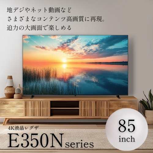【無料長期保証】REGZA 85E350N 85V型 4K液晶テレビ レグザ E350Nシリーズ の通販は