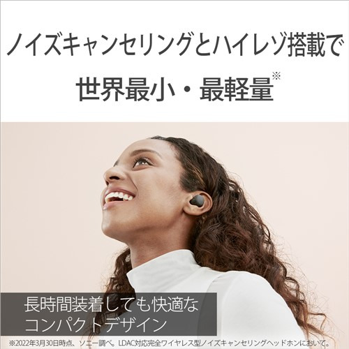 ソニー ワイヤレス イヤホン 左右分離 ノイズキャンセリング IPX4 最大30時間 USB-C LinkBuds S WF-LS900NBC ブラック系_3