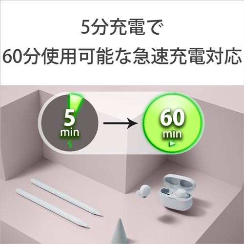 ソニー ワイヤレス イヤホン 左右分離 ノイズキャンセリング IPX4 最大30時間 USB-C LinkBuds S WF-LS900NWC ホワイト系_6