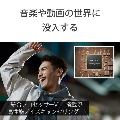 ソニー ワイヤレス イヤホン 左右分離 ノイズキャンセリング IPX4 最大30時間 USB-C LinkBuds S WF-LS900NWC ホワイト系_8
