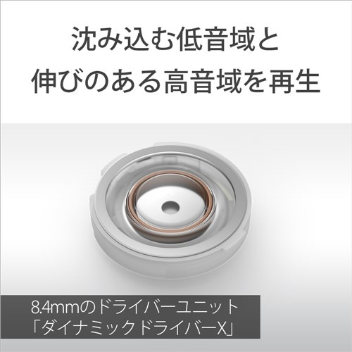 ソニー ワイヤレス イヤホン 左右分離 ノイズキャンセリング IPX4 最大30時間 USB-C LinkBuds Fit WF-LS910NBZ ブラック系_11
