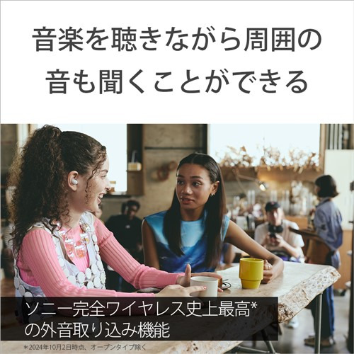 ソニー ワイヤレス イヤホン 左右分離 ノイズキャンセリング IPX4 最大30時間 USB-C LinkBuds Fit WF-LS910NBZ ブラック系_4