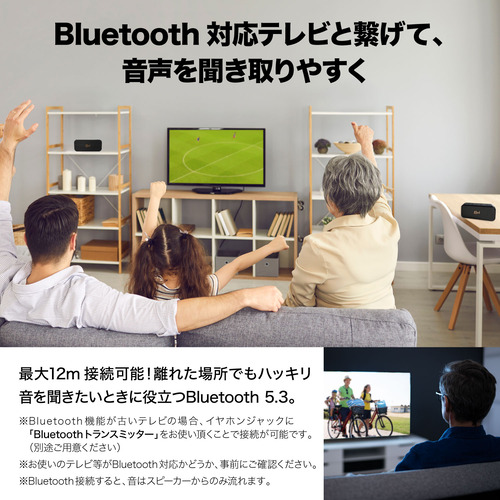 Klipsch av020002-C01 Bluetoothスピーカー ナッシュビル IP67防水防塵対応 ブラック_6