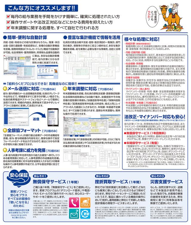 Hjggj Tghhcさん専用 BSLシステム研究所 給料らくだプロ25