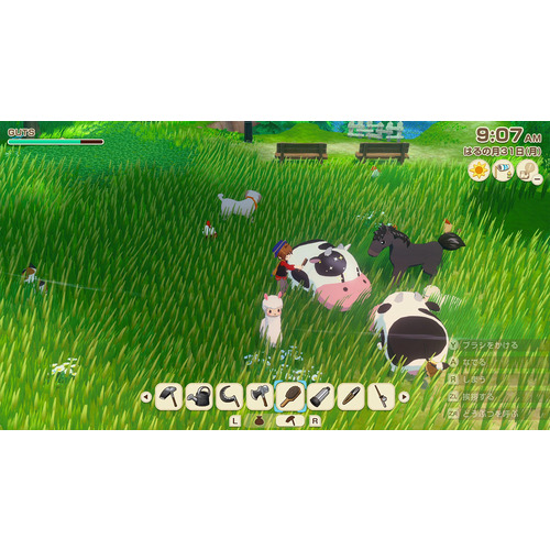 a*o様 ニンテンドーSwitch Lite➕風のグランドバザール 牧場物語 Let's！風のグランドバザール 【Switch】 HAC-P-BG4TAの通販