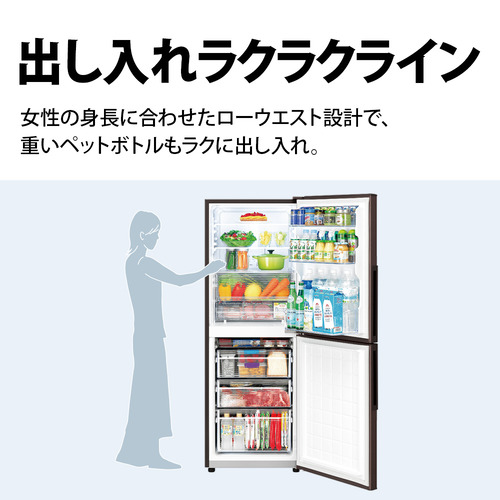 シャープ 冷蔵庫 280L 右開き 2ドア 幅56cm 4段ケース冷凍室 プラズマ