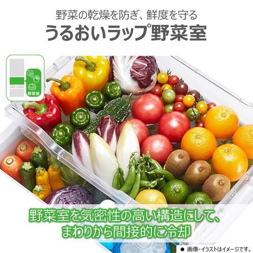 東芝 冷蔵庫 411L 右開き 5ドア 幅60cm 真ん中野菜室 一気冷凍 節電 