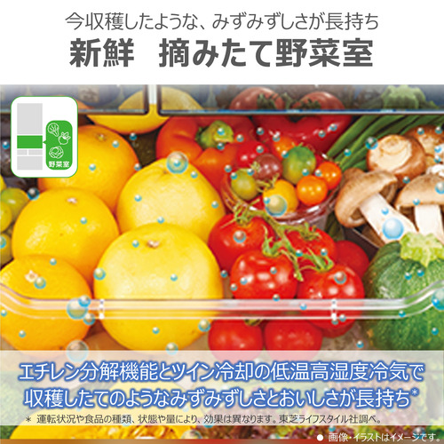 【無料長期保証】東芝 冷蔵庫 551L 6ドア 観音開き 幅 68.5cm 摘みたて野菜室 速鮮チルド ベジータ GR-Y550FK(EW) ホワイト系