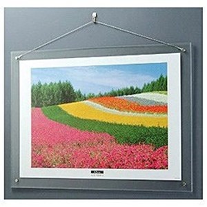 ナカバヤシ アクリル製ピクチャーフレーム「壁掛けタイプ」(A2判プリント用／クリアー) フ-ACH-A2の通販は 7,956円