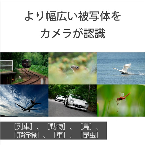 ソニー ZV-E1L W VLOGCAM デジタル一眼カメラα ズームレンズキット ホワイト_10