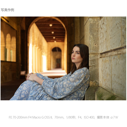 ソニー SEL70200G2 交換用レンズ α[Eマウント]用レンズ FE 70-200mm F4 Macro G OSS II?_12