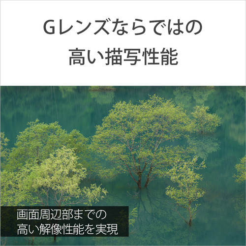 ソニー SEL70200G2 交換用レンズ α[Eマウント]用レンズ FE 70-200mm F4 Macro G OSS II?_3