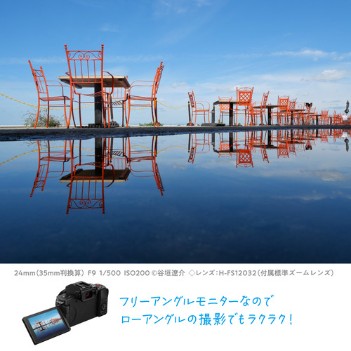 パナソニック DC-G100DW-K デジタル一眼カメラ ダブルズームレンズキット LUMIX G100D ブラック_8