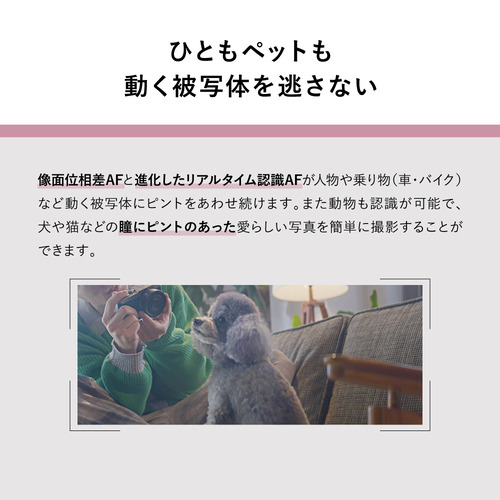 【期間限定ギフトプレゼント】パナソニック DC-S9H-S フルサイズ ミラーレスカメラ 標準ズームレンズキット LUMIX ダークシルバー DCS9HSの通販は