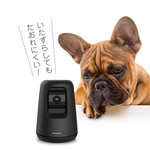 パナソニック KX-HDN215-K HDペットカメラ ブラック KXHDN215の通販は