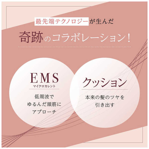WAVEWAVE EMS Brush Air ブラック WH4101-BK_3
