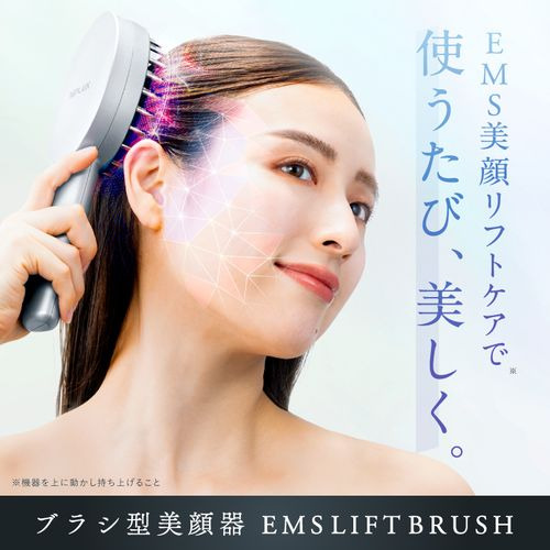 日創プラス NP-ELB23SV EMSリフトブラシ NIPLUX シルバー