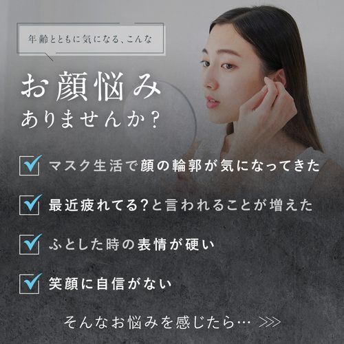 日創プラス NP-ELB23SV EMSリフトブラシ NIPLUX シルバー