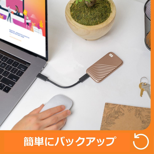Western Digital WDBAGF0020BGD-JESN ポータブルSSD My Passport SSD 