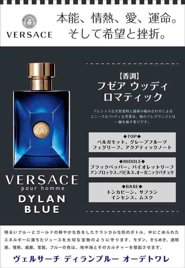 ヴェルサーチ ディランブルー EDT 100ml