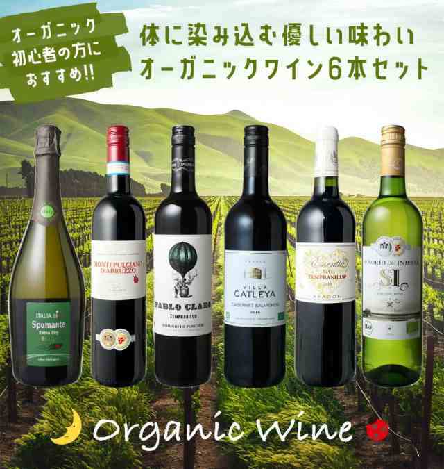 送料無料 ワインセット オーガニック ワイン 6本 セット ユーロリーフ認定入 赤ワイン 白ワイン フランス イタリア スペイン 第19弾の通販はau Pay マーケット ワインショップ ドラジェ