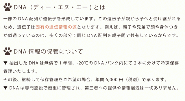 ペット 位牌 クリスタル 【DNA stock assist】虹のかけ橋 ホログラム