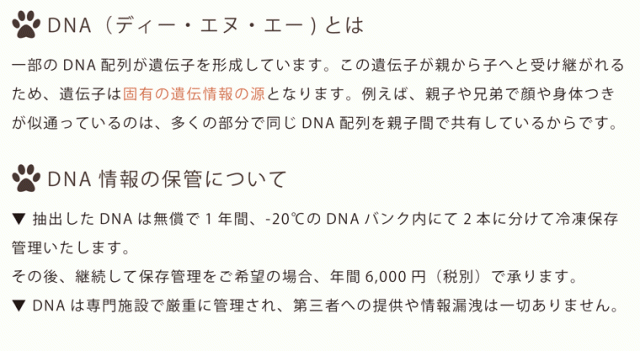 au pay マーケット