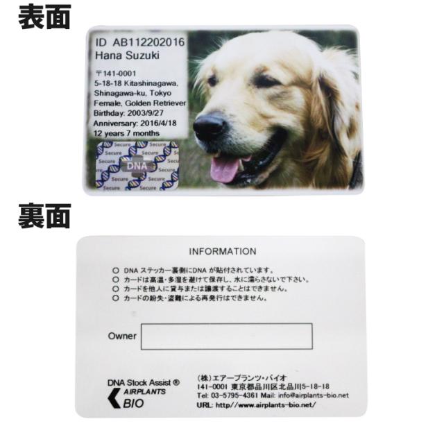 au pay マーケット