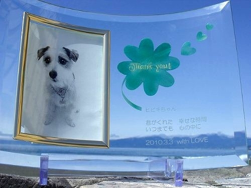 【 位牌 】クリスタル位牌 メモリアルフォトフレームスタンド 「 幸せの訪れ 」 遺影 モダン位牌 モダン仏具 犬 猫 ペット供養 刻印サービスつき 送料無料_2