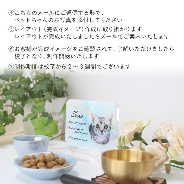 ペット位牌 アクリル スクエア アクリル台座 マグネット 付き フルカラープリント 写真入り 虹 かわいい ペット仏具 選べる5デザイン_5