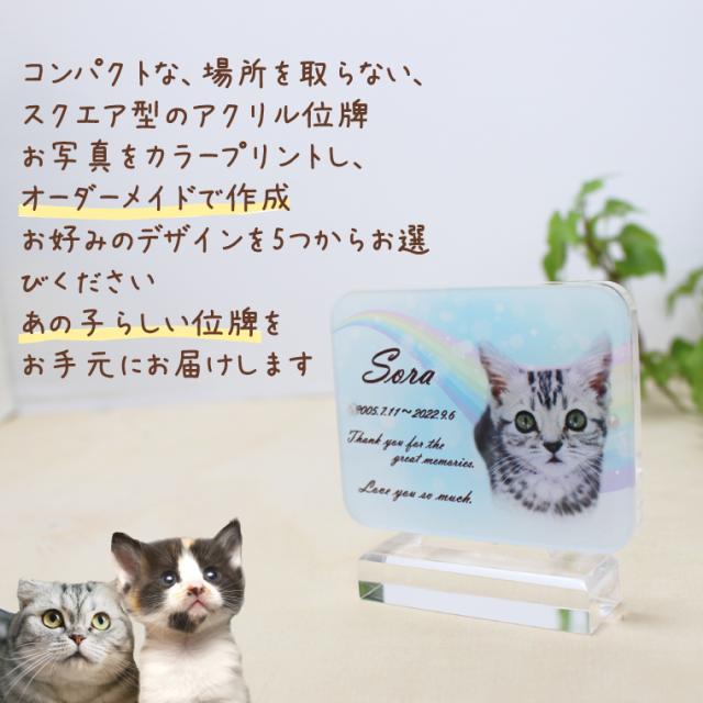 ペット位牌 アクリル スクエア アクリル台座 マグネット 付き フルカラープリント 写真入り 虹 かわいい ペット仏具 選べる5デザイン_6