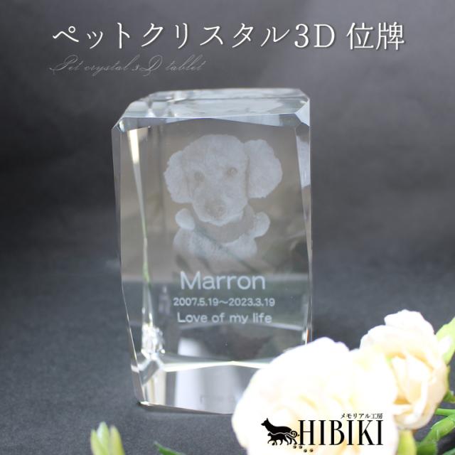 ペット位牌 クリスタル位牌 3D キューブ型 ペット供養 180° 半立体 オーダーメイド