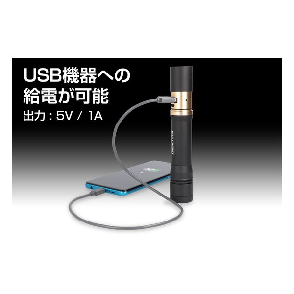 GENTOS ジェントスジェントス フラッシュライト RX-486PB RX-486PB(2611211)代引不可 送料無料_2