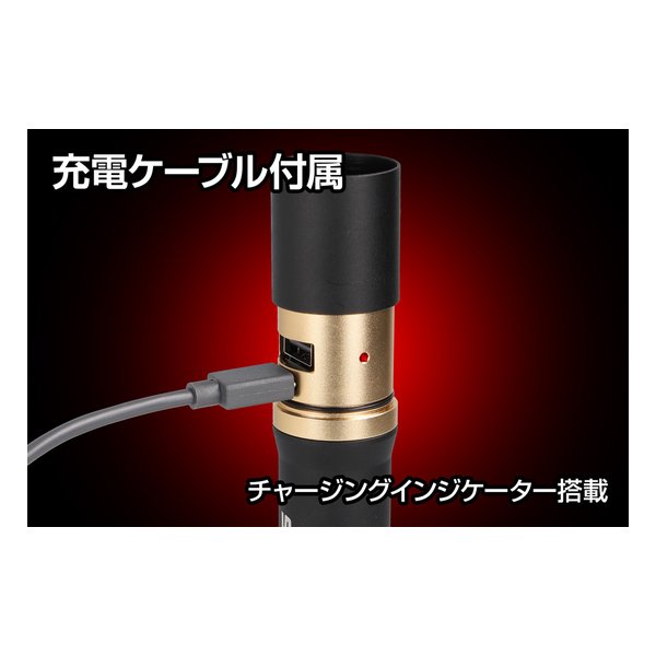 GENTOS ジェントスジェントス フラッシュライト RX-486PB RX-486PB(2611211)代引不可 送料無料_3