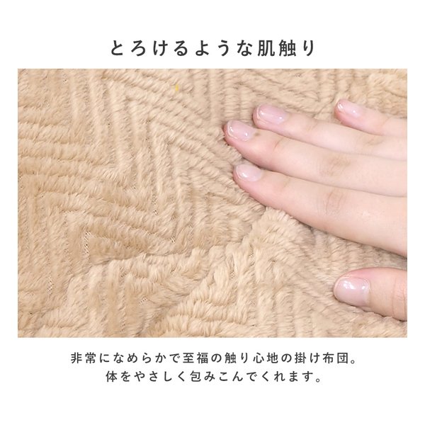 萩原 ハギハラこたつ＋うす掛け布団 2点セット カルテスビケ