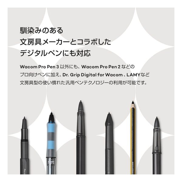 Wacom ワコムIntuos Pro 2025 large プロフェッショナル向け ペンタブレット PTK870K0C(2647094)代引不可 送料無料_5