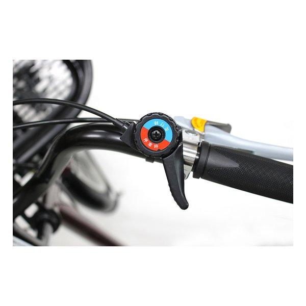 MIMUGO ミムゴノーパンク 三輪自転車L アクティブプラス フロント20