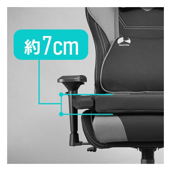 Bauhutte バウヒュッテゲーミング座布団ラージ 幅580×奥行490×厚み70mm/ブラック BC-150G-BK(2648325)代引不可
