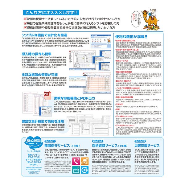 BSLシステム研究所 ビーエスエルシステムケンキュウ会計らくだ26 カイケイラクダ26(2663415)_1