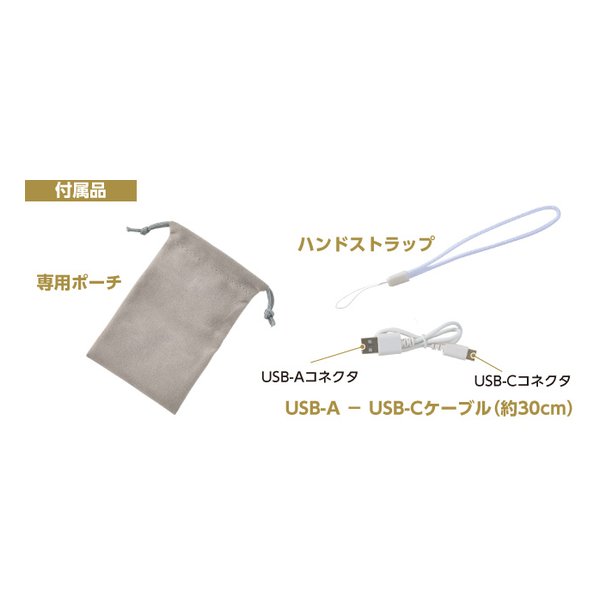 ELPA エルパ充電式カイロ 3段階温度調節/モバイルバッテリー機能