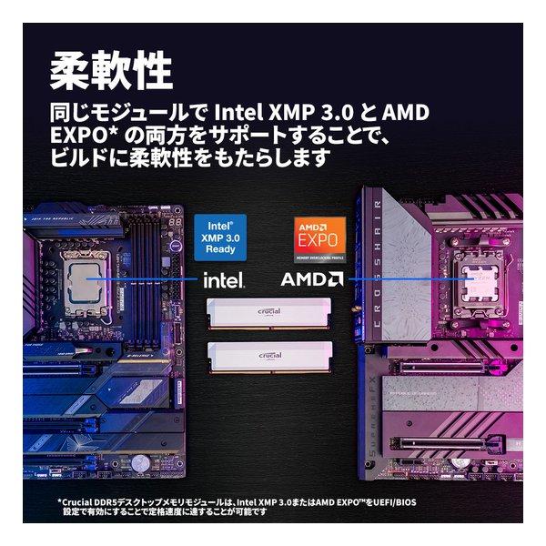 crucial クルーシャルCRUCIAL クルーシャルPRO マイクロン製