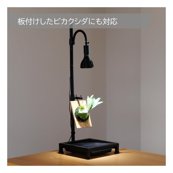 BIBILAB ビビラボ植物育成ライトスタンド・ソロ LPA-P250-BK(2682597)代引不可_4
