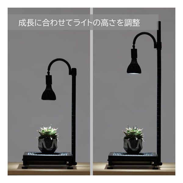 BIBILAB ビビラボ植物育成ライトスタンド・ソロ LPA-P250-BK(2682597)代引不可_5